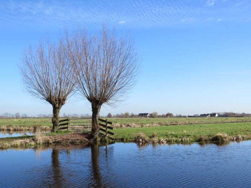 reeuwijkpolder-10-03-2017a.jpg