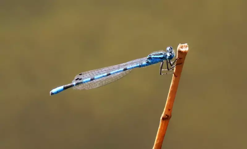 watersnuffel-08-09-2021.webp