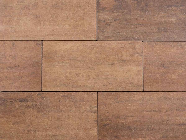 Pavé béton Allure Linea Marmo Marone 20x30x6cm