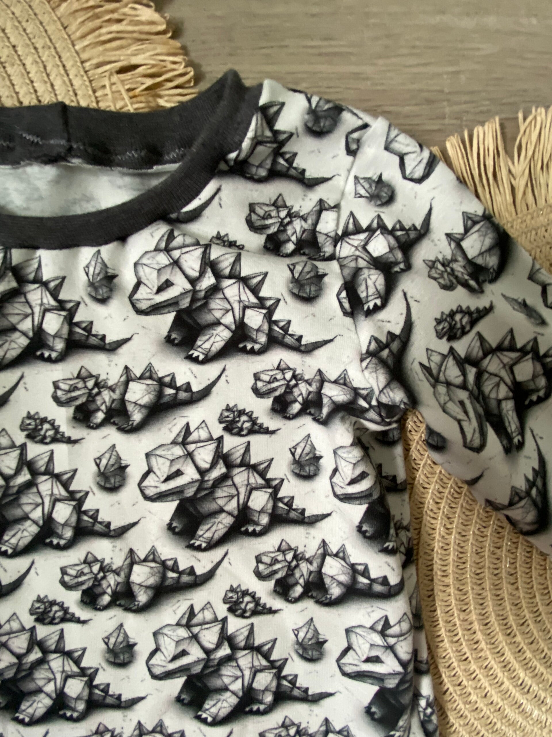 Dino Longsleeve / T-shirt