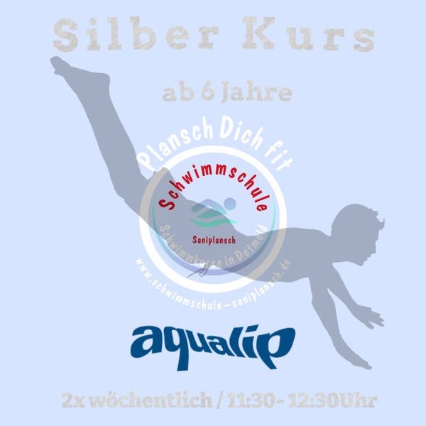 6x Silber Kurs