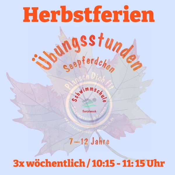 6x Übungsstunden zum Seepferdchen