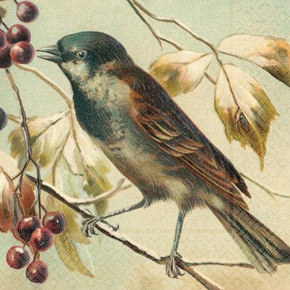 Fågel servetter