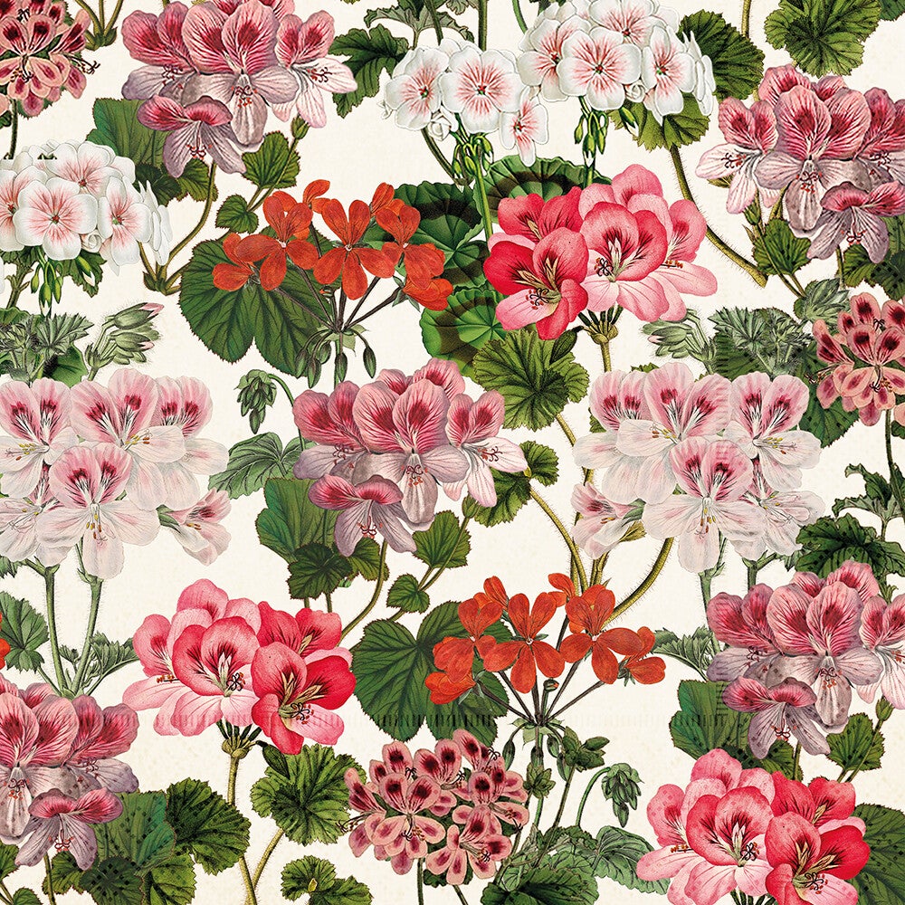Pelargoner servetter