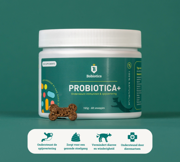 Bobiotics maag &darm