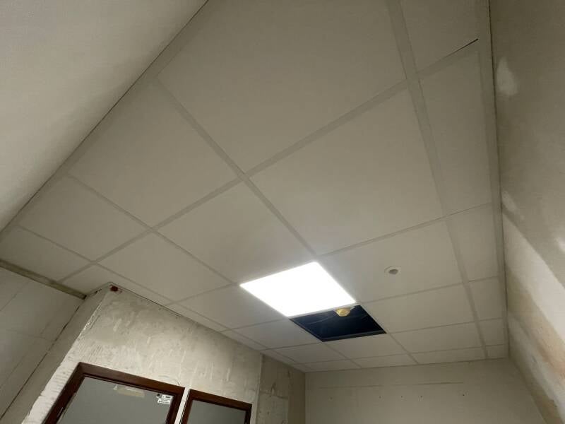 122111929256944511-standard.jpg
