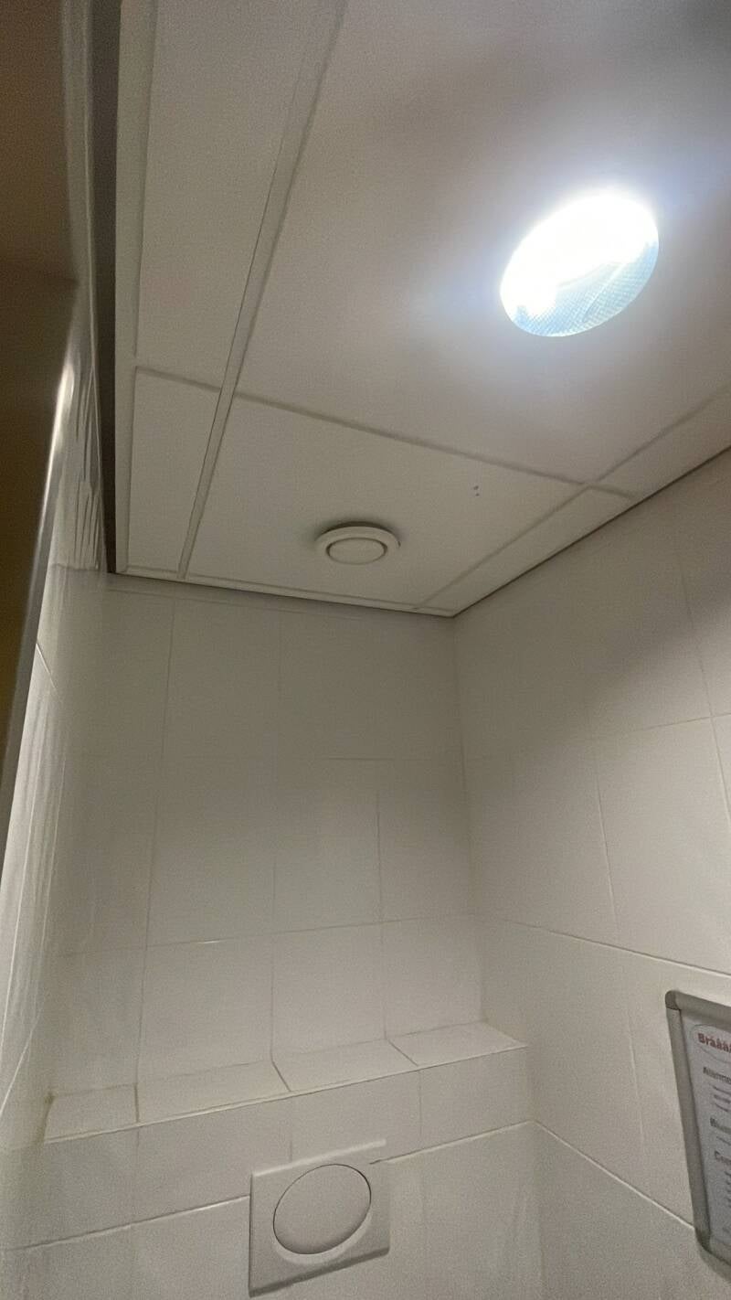 122111931086944511-standard.jpg