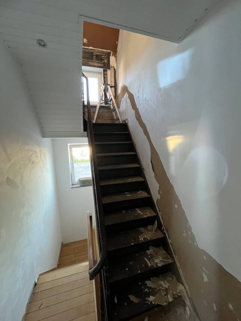 122112079340944511-standard.jpg