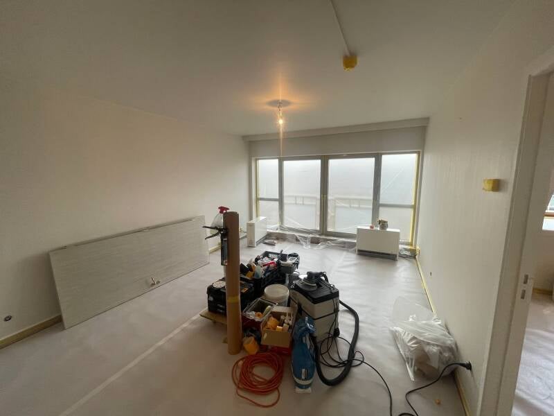 122112105776944511-standard.jpg