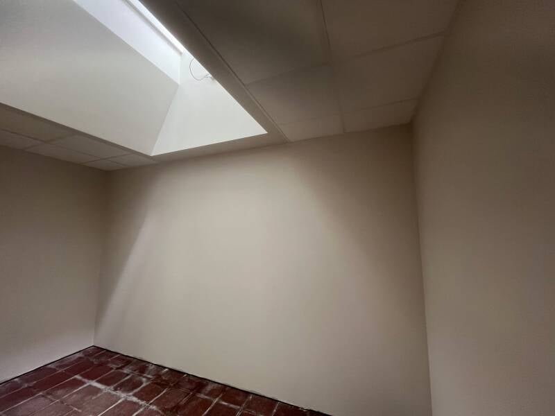 122112137570944511-standard.jpg