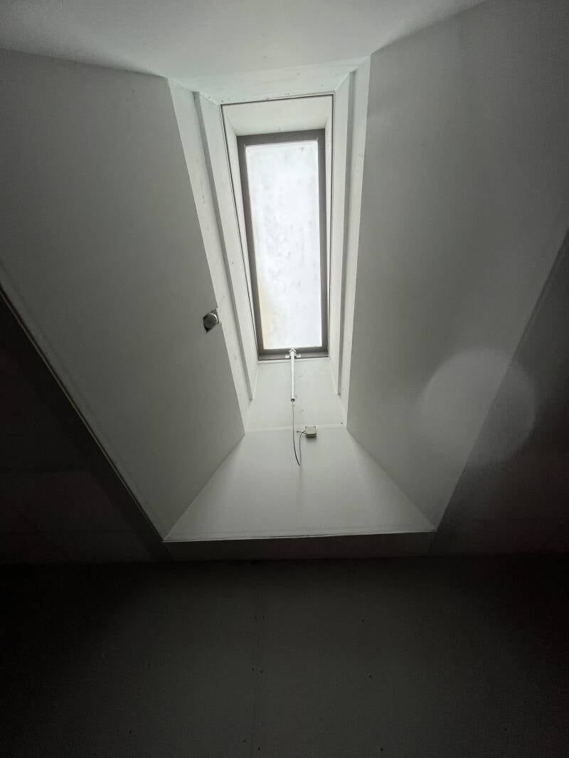 122112137606944511-standard.jpg