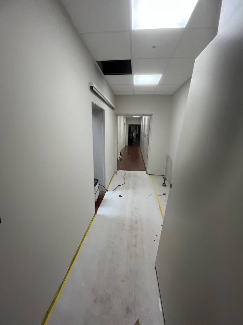 122112137846944511-standard.jpg