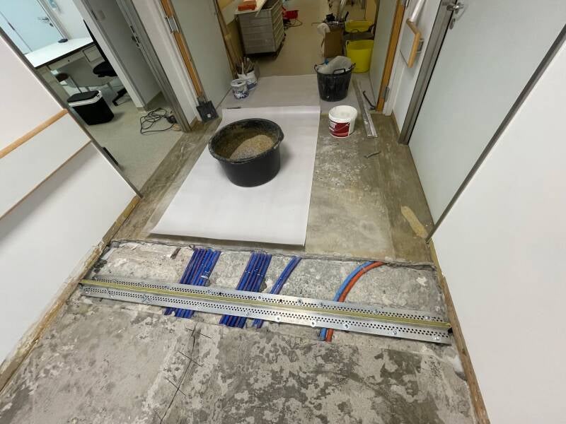 122112146510944511-standard.jpg