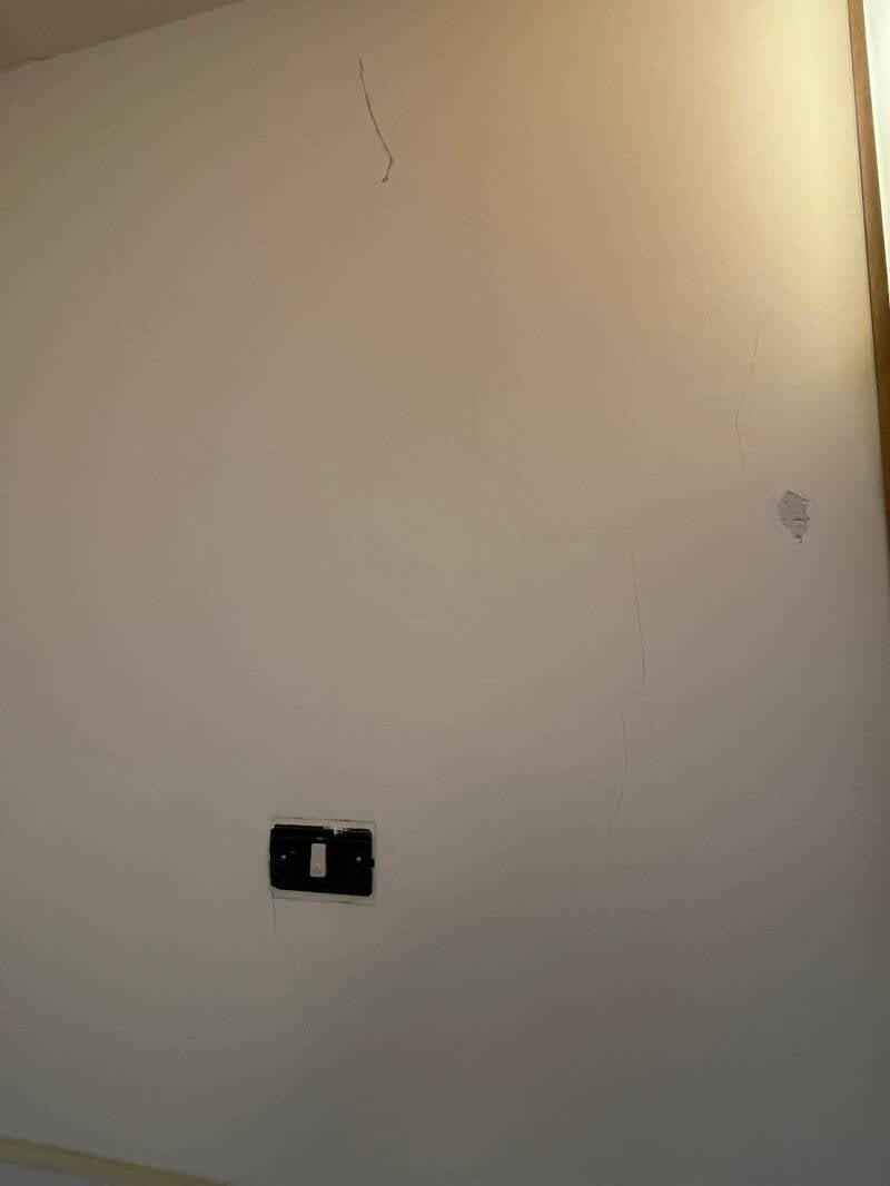 122118875900944511-standard.jpg