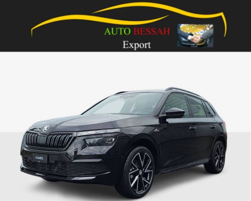 skoda-kamiq-export-algerie-carlo_130118-2.jpg