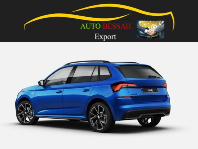 voitureexport-skoda-bessah-1.jpg