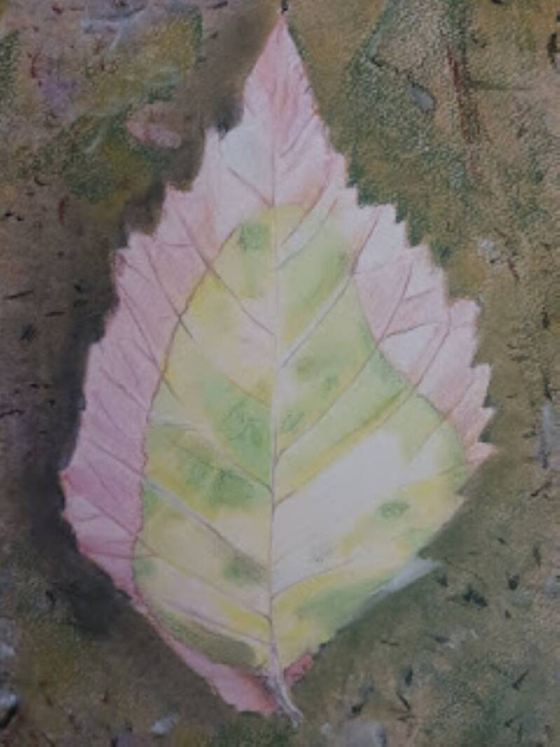 Leaves, drawing by Jimmy Groen