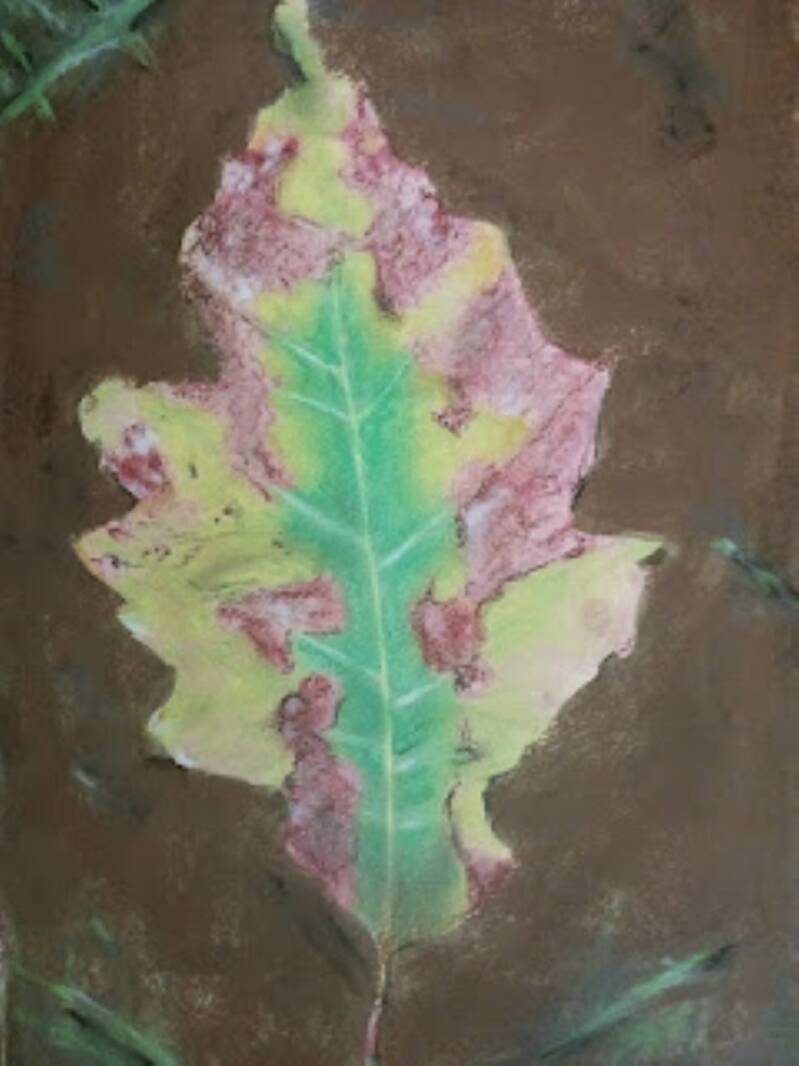 Leaves, drawing by Jimmy Groen