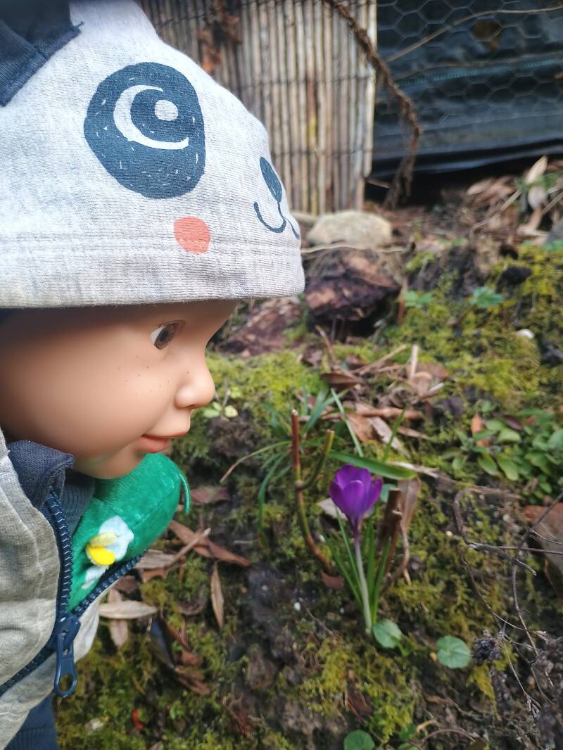 Tim welcomes the spring time 2026