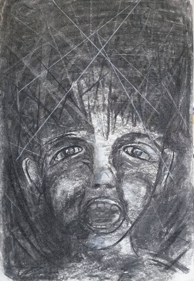 Trauma art on Institutional betrayal and extreme violence in Dutch foster care