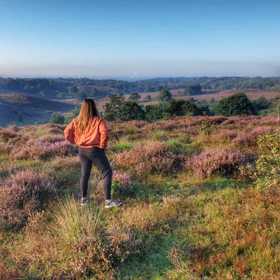 Posbank, Veluwe