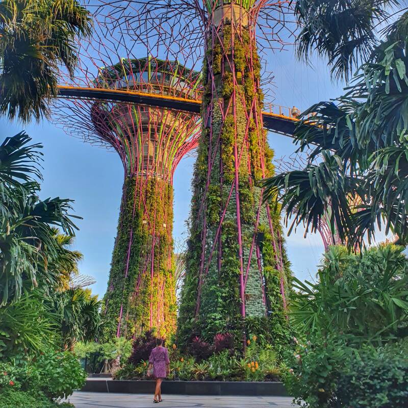 Singapore