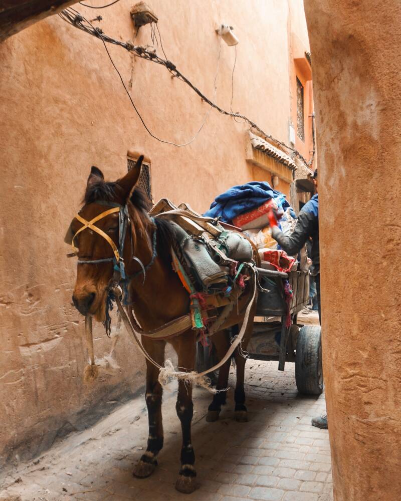 Marrakech