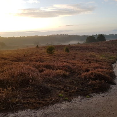 Posbank, Veluwe