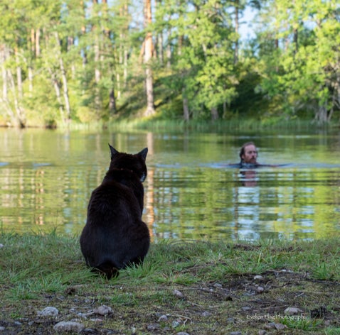 Door Europa reizen met de camper en twee katten: Onze tips