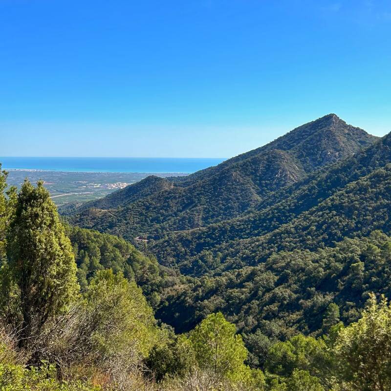 Cova del Tronc – Mina del Cavall rondtocht vanuit Artana