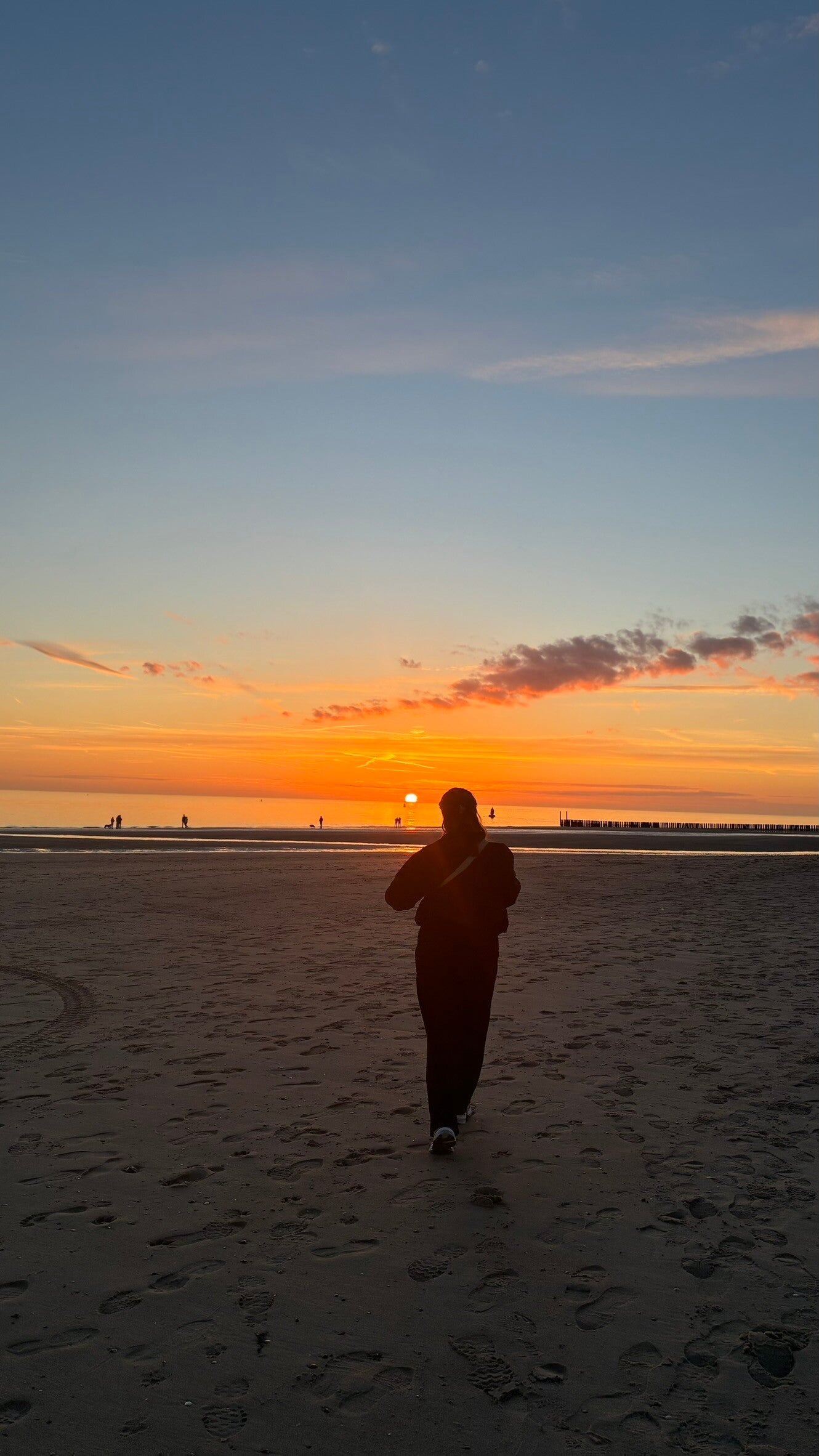 Strand Westduin