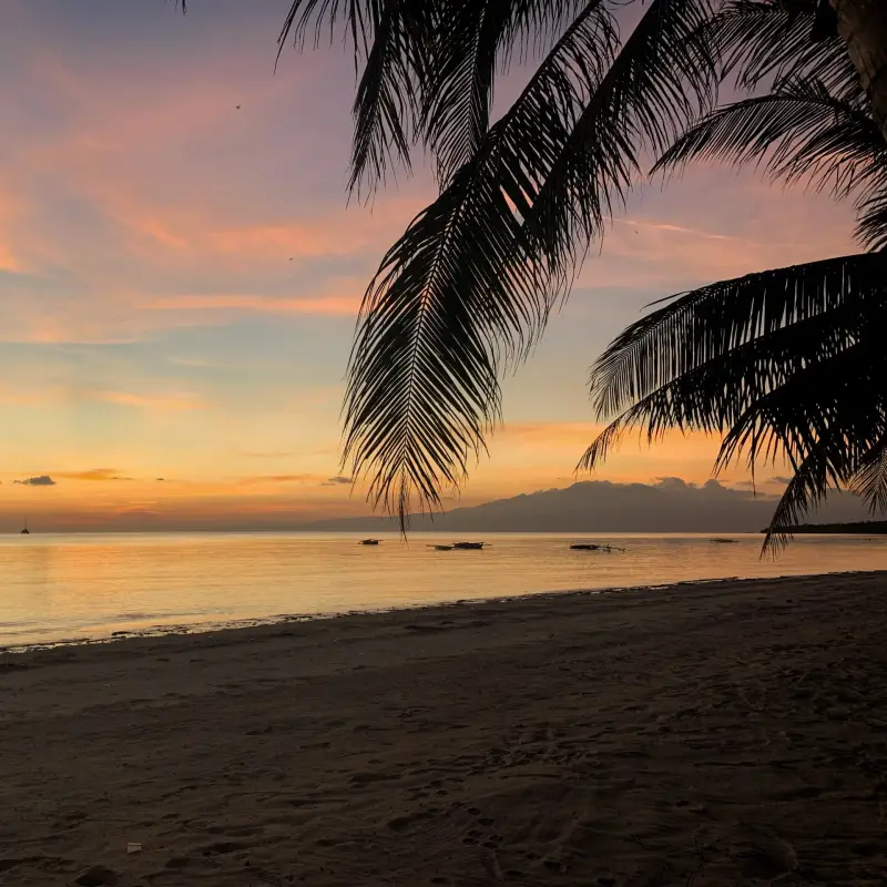 Zonsondergangen spotten