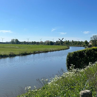 Beesd