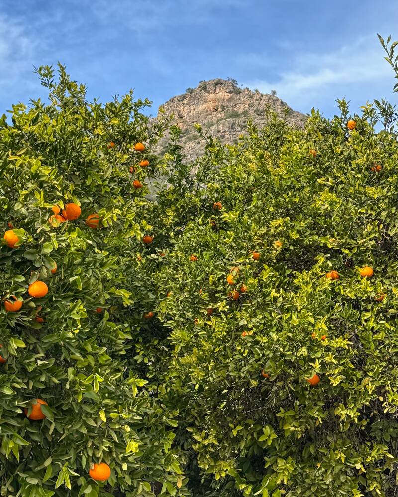 Wandelen door de omgeving van Xàtiva
