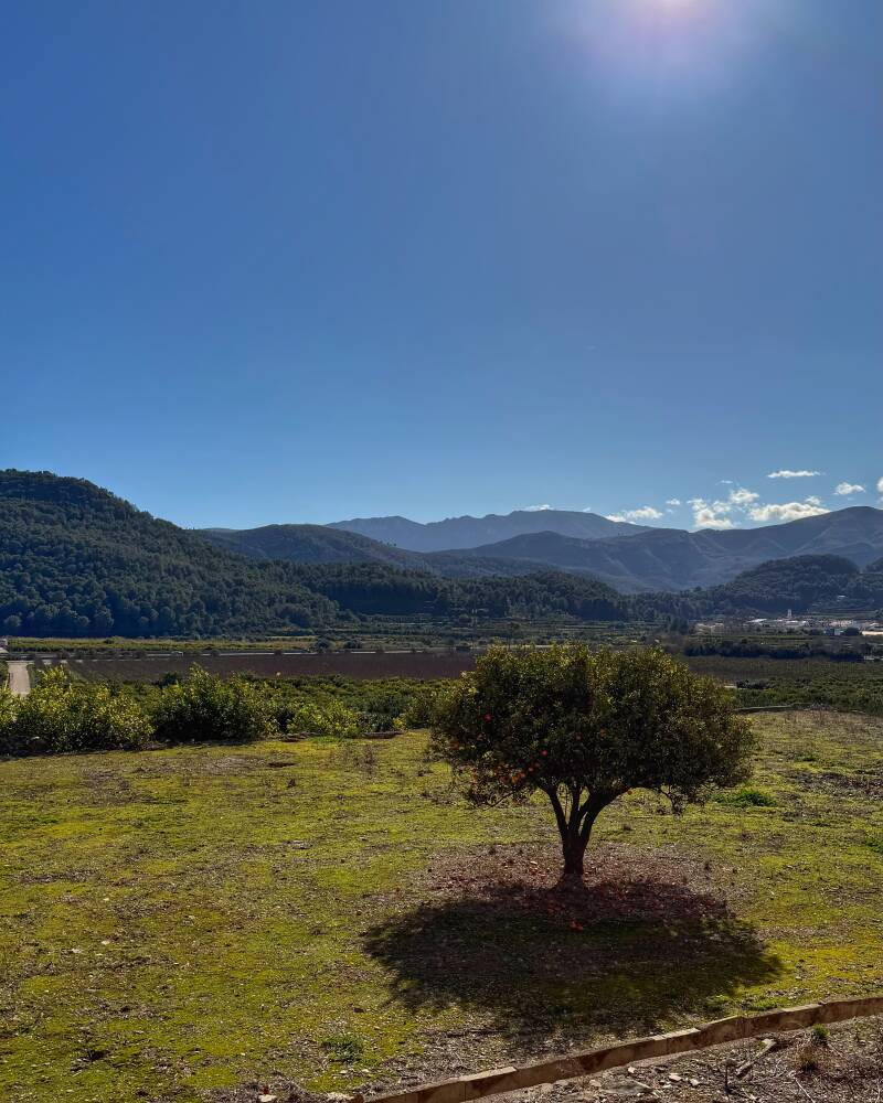 Klooster: Monasterio de San Jerónimo de Cotalba