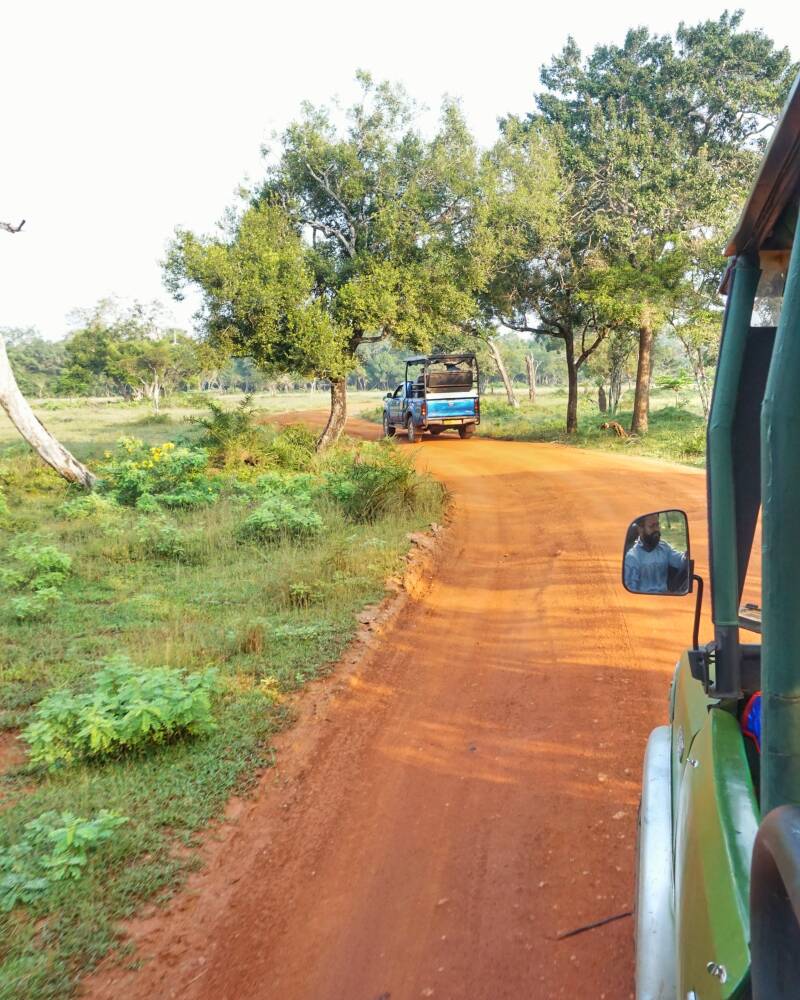 Wilpattu National Park