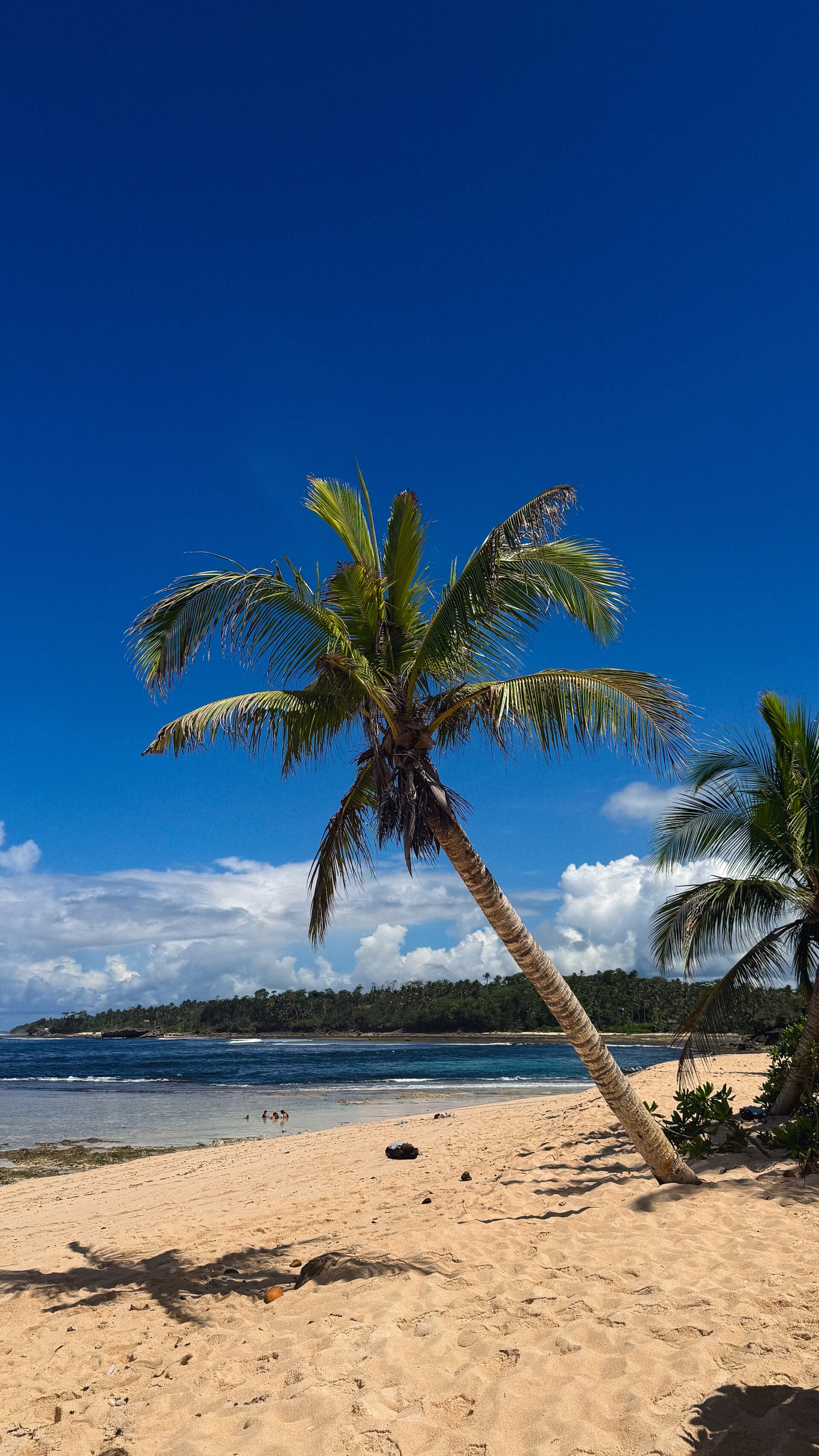 Dagtrip op Siargao: Ontdek het ongerepte noorden op de scooter