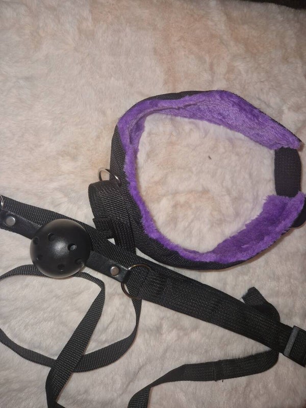 Halsband met riem & mondbal
