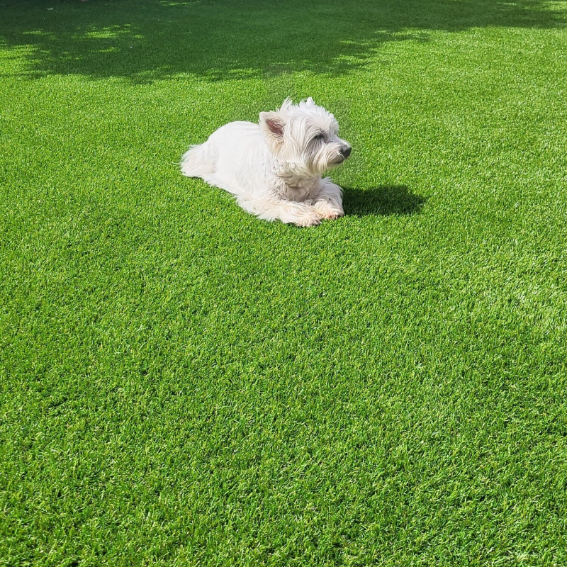 CÉSPED ARTIFICIAL APTO PARA MASCOTAS