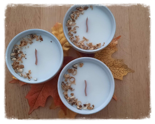 AUTUMN VIBES