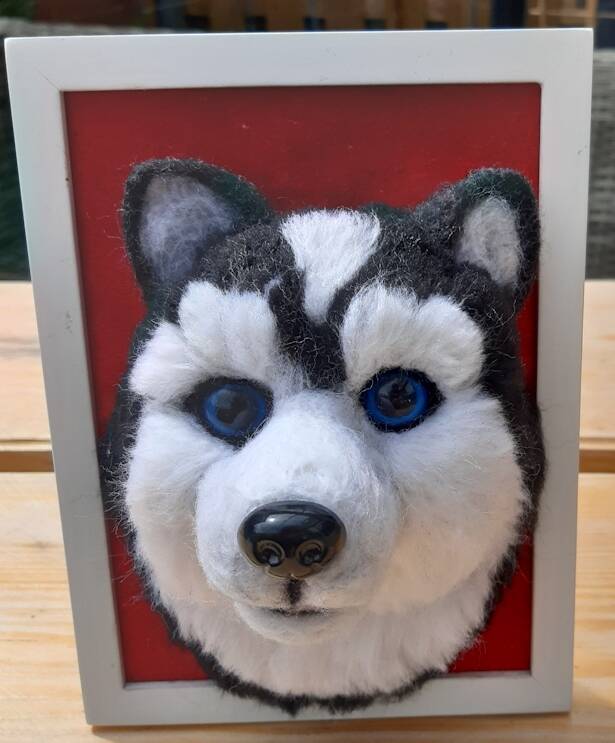 husky