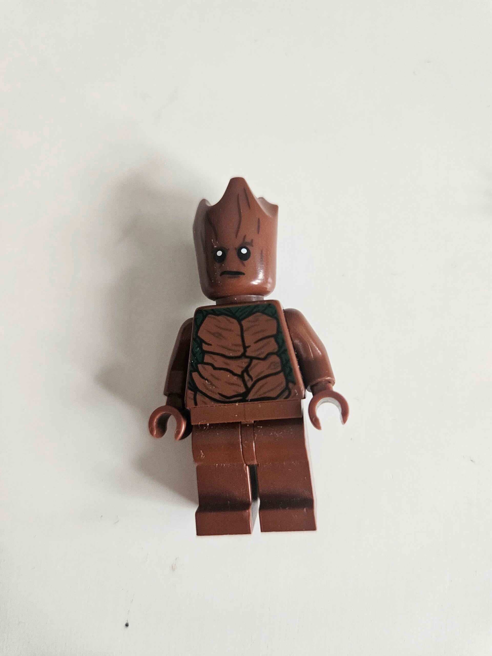 Sh0501 - Groot