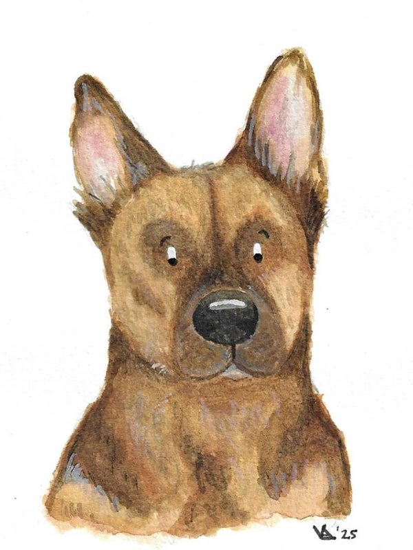 Huisdier illustratie (Originele aquarelillustratie - A3, A4, A5