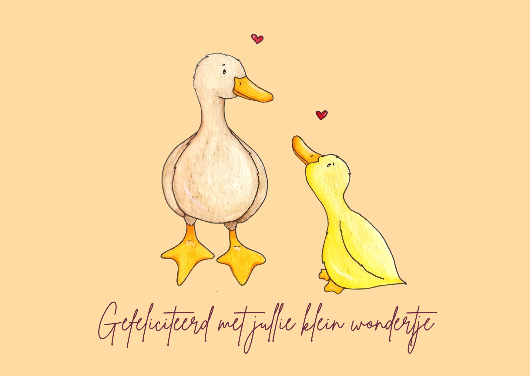 Geboorte | Eendjes