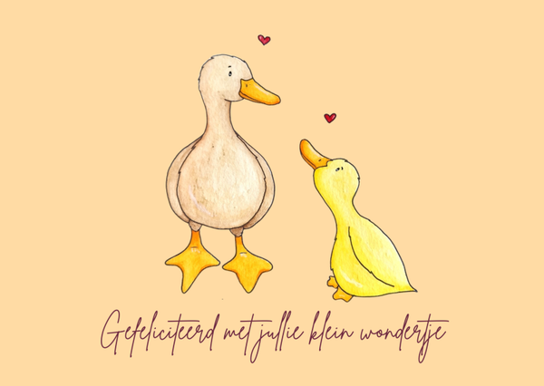 Geboorte | Eendjes