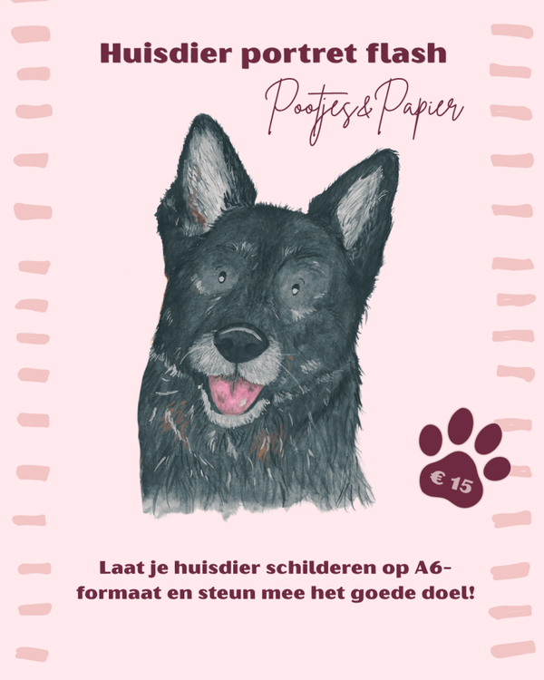 Huisdier portret flash - Limited edition