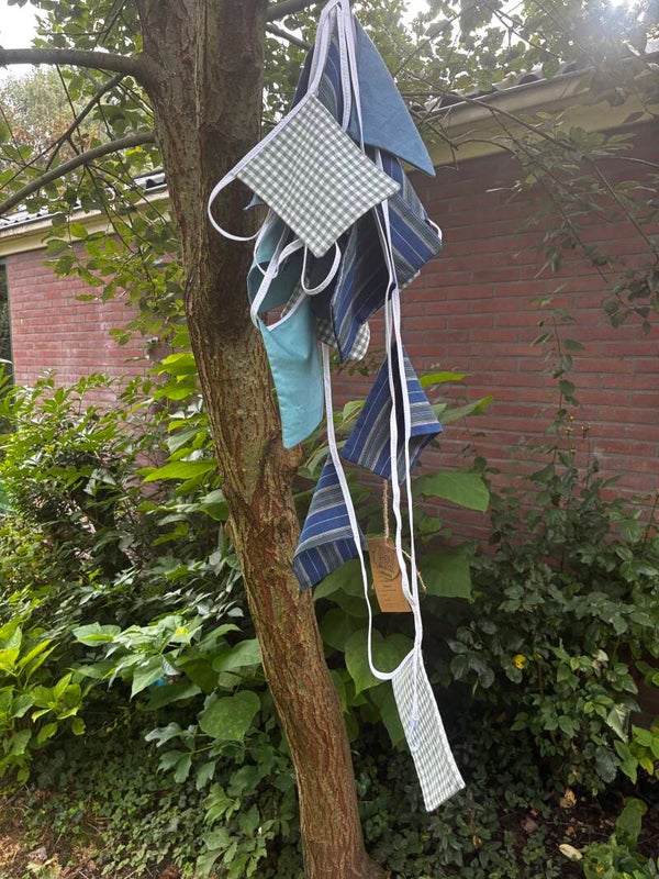 Vlaggenlijn blauw/groen