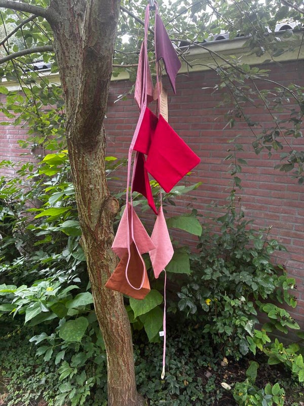 Vlaggenlijn Pink