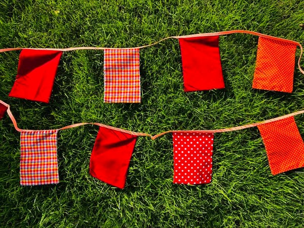 Vlaggenlijn