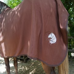 dsc00242-standard.jpg